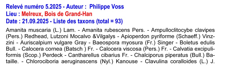 Inventaire des champignons de Wallonie